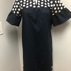 J crew Navy Blue Dress